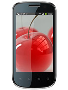 Best available price of Celkon A19 in Serbia