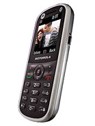 Best available price of Motorola WX288 in Serbia