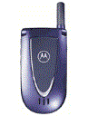 Best available price of Motorola V66i in Serbia